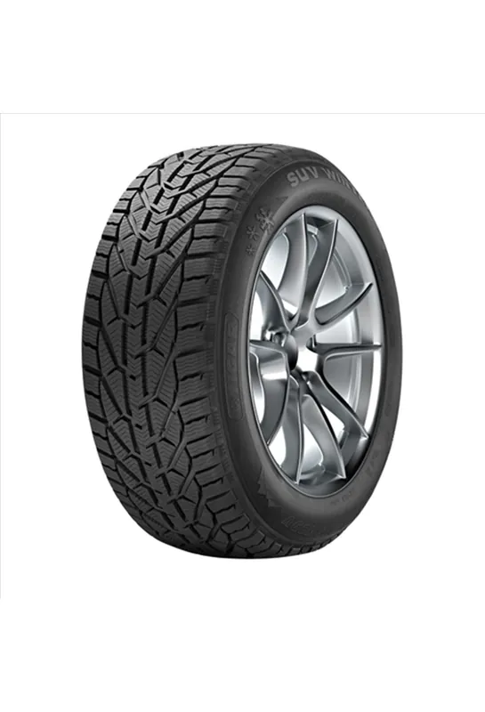 DUNLOP WINTER 205/55 R19 97V XL Discount