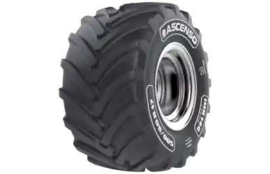Noutate ASCENSO IMR140 425/55R17 134D TL