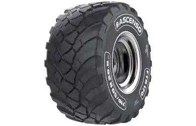 Ofertă exclusivă ASCENSO FTR170 600/50R22.5 159D TL
