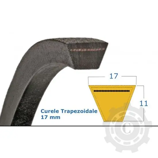 Expediere rapidă CUREA 17X11X2189 LA