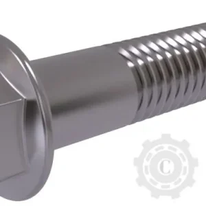 Cumpărături sigure SURUB M10X80 DIN6921