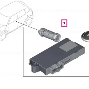 Set sistem inchidere uniforma CAS 315 MHZ - BMW - Mini Cumpără online