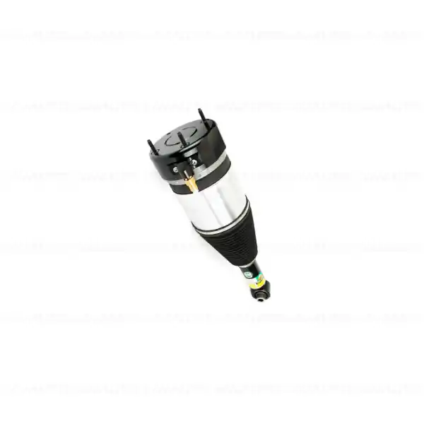 Amortizor pneumatic, punte spate, dreapta - BMW Seria 5 G31 Vezi acum
