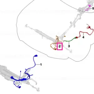 Wiring harness, Servotronic - BMW Expediere rapidă